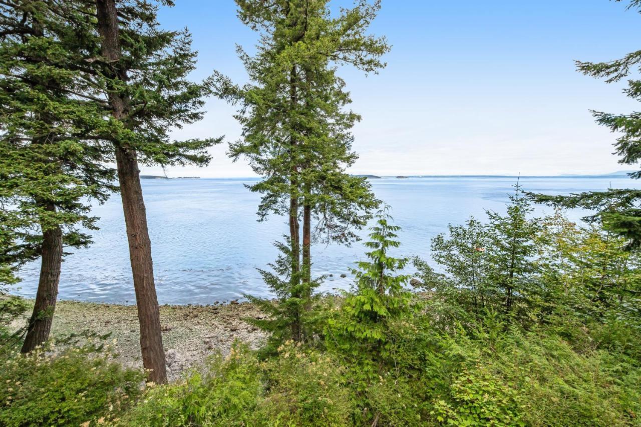 Pinecone Cabin Eastsound المظهر الخارجي الصورة